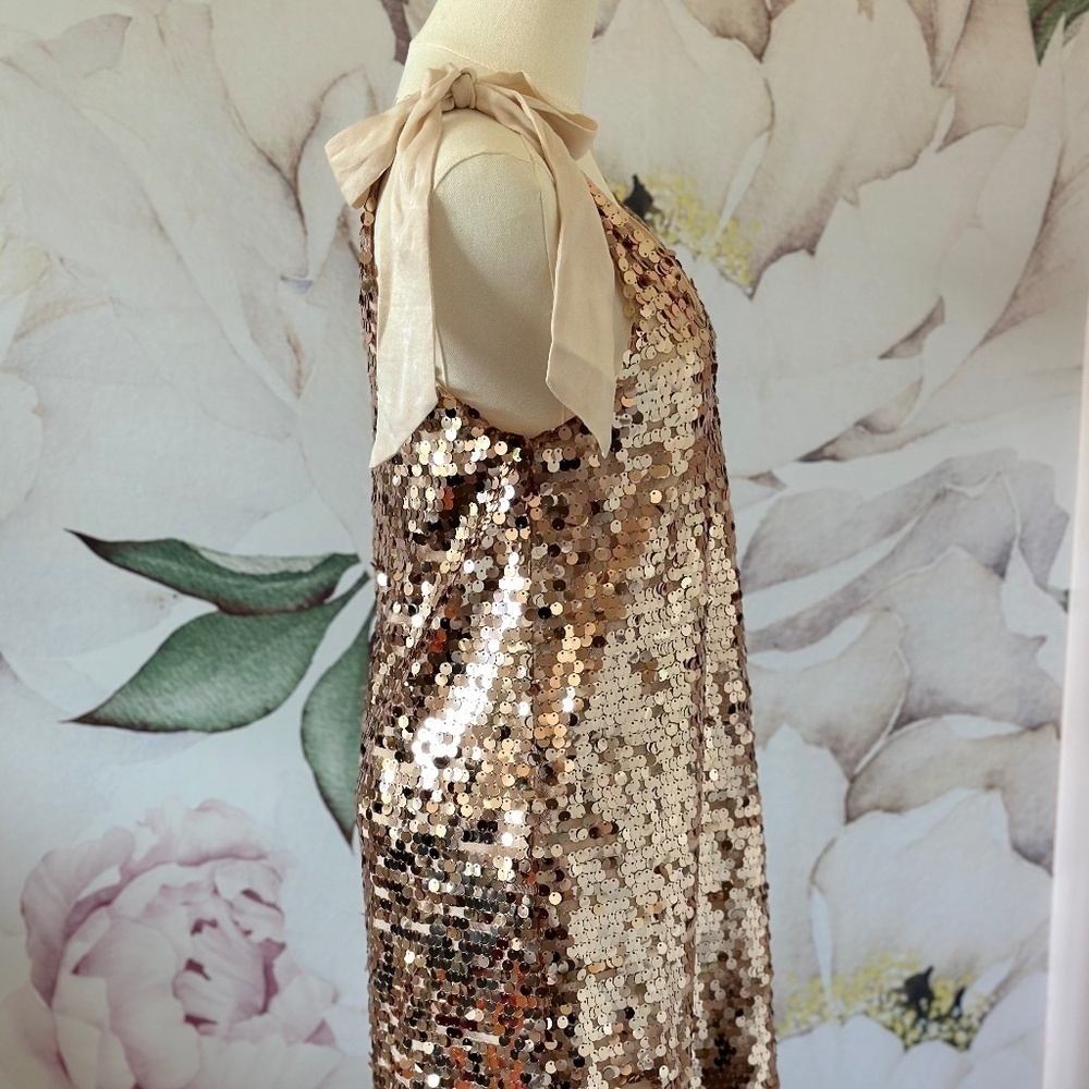 Red Dress Boutique Champagne Sequin Mini Women's Dress Size XS - Picture 8 of 15
